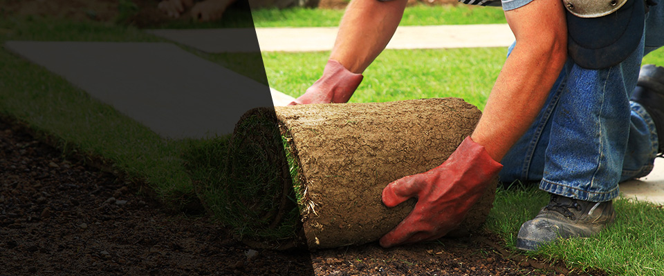 Caro Landscapers